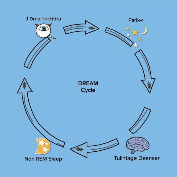 レム睡眠と夢の関係